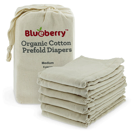 Blueberry - Organic Cotton Prefolds - Large